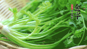 挑選鮮嫩的香菜，洗干凈后，處理成小段。