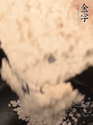 浸泡半天的糯米電飯鍋煮熟。