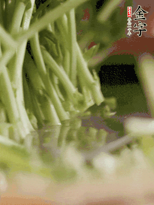 新鮮豌豆苗割下洗凈。